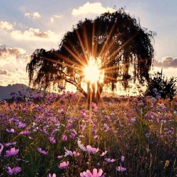 Meet your Posher, Kip - Picture 1 of 1